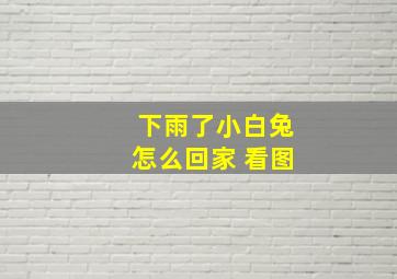 下雨了小白兔怎么回家 看图